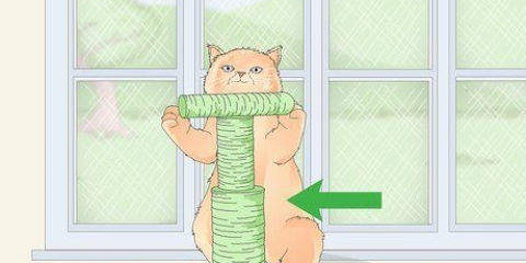 Proteggi gli schermi dai gatti