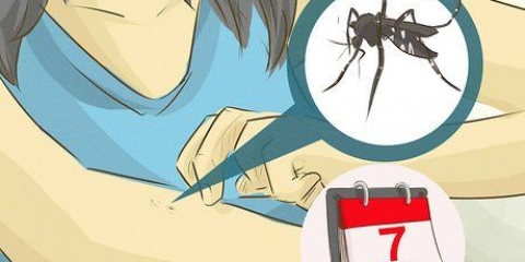 Prendersi cura di qualcuno con la dengue