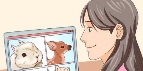 Hai dimenticato qualcosa di terribile che hai visto su internet