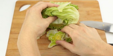 Tagliare la lattuga iceberg