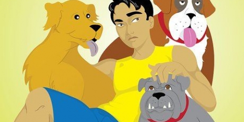 Vivere in una famiglia con più cani
