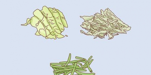 Infusori in crescita