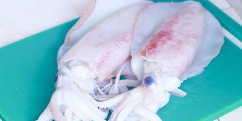 Cucinare i calamari
