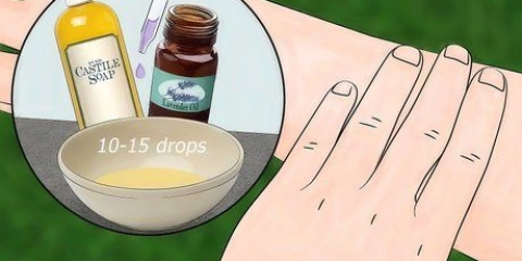 Respingi gli insetti con la lavanda