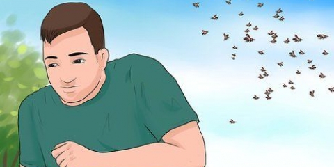 Cura le punture di insetti