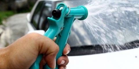 Pulizia dell'auto con prodotti per la casa