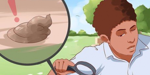 Controllare la tua salute in base al colore della cacca e delle feci