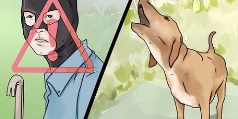 Come fare in modo che il tuo cane smetta di abbaiare a persone sconosciute