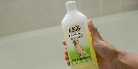 Fai in modo che il tuo cane abbia un odore migliore