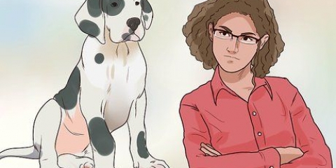 Addestra il tuo cane a non scappare