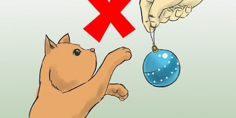 Proteggi il tuo albero di natale dai gatti