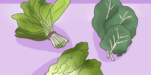 Dai da mangiare al tuo coniglio il giusto cibo verde
