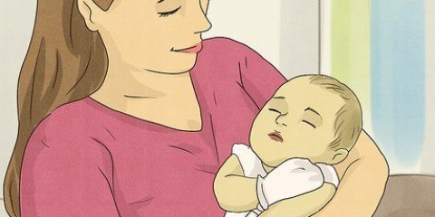 Scegli il tuo compagno di vita