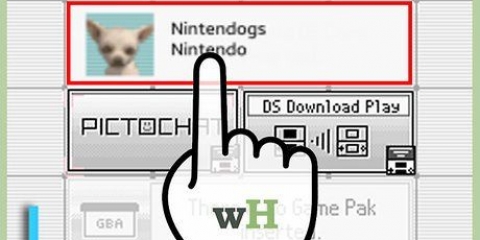 Elimina il tuo gioco nintendogs