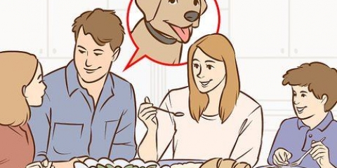 Convincere i tuoi genitori a prendere un cane