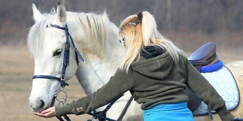 Lascia che il tuo cavallo si fidi di te