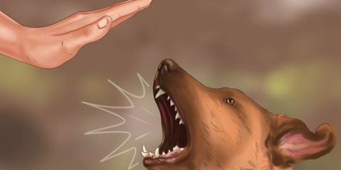 Allevare il tuo cucciolo