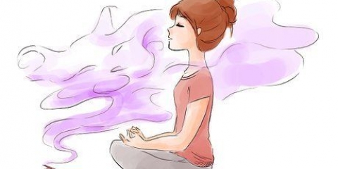 Trovare il tuo animale spirituale