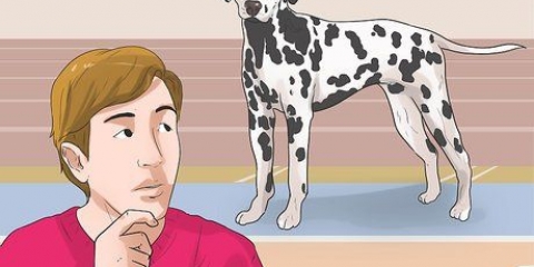 Travestirsi da cane (per cosplay)