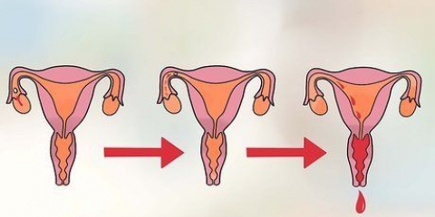 Determina il giorno più fertile per rimanere incinta