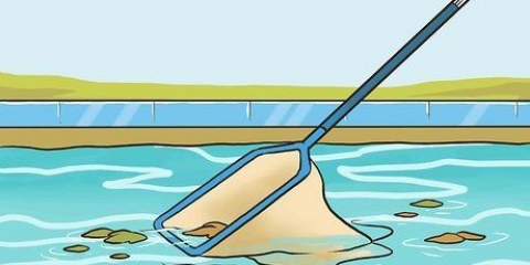 Pulisci la tua piscina da solo