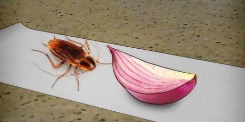 Catturare gli scarafaggi
