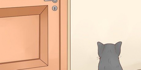 Tieni i gatti fuori da una stanza