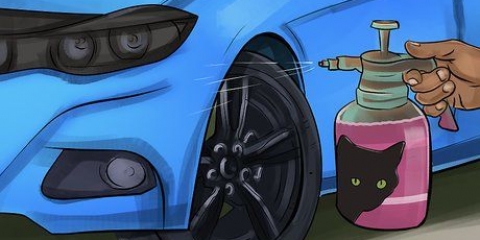 Tieni i gatti lontani dalla tua auto