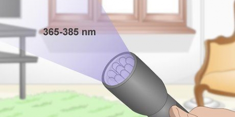 Trovare l'urina del gatto con una lampada uv