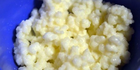 Conservazione dei grani di kefir