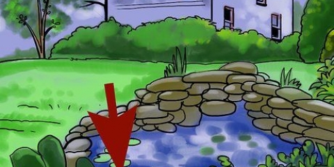Tieni le rane fuori dal tuo giardino