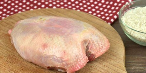 Preparazione del pollo con riso per cani