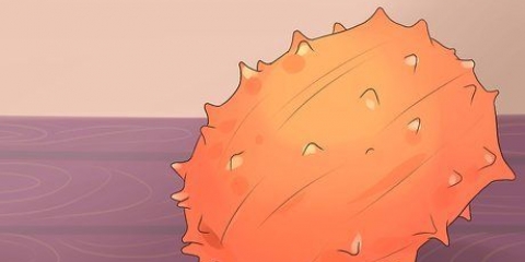 Mangiare kiwano