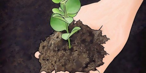 Miglioramento del terreno argilloso