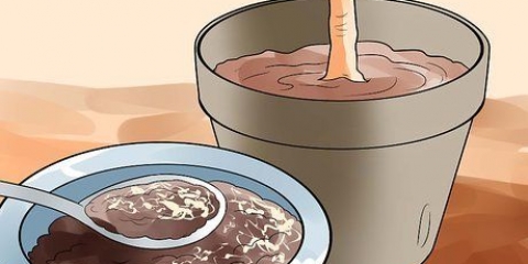 Usare i fondi di caffè nel tuo giardino