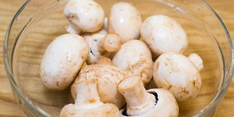 Cucinare con i funghi