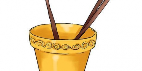 Cetrioli in crescita in vaso