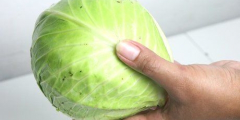 Cucinare il cavolo