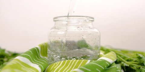 Conservazione del coriandolo