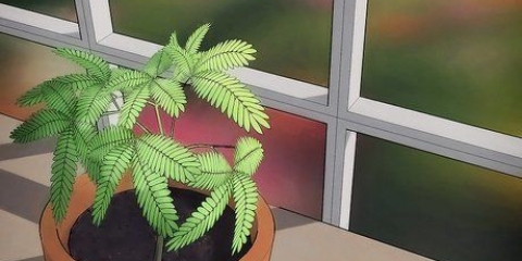 Herb-non .mescolare-