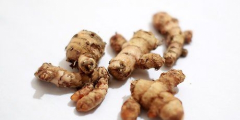 Usando la polvere di curcuma