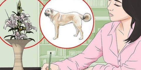 Impara a disegnare senza lezioni