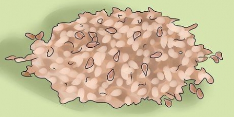 Mangia semi di lino