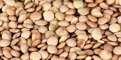 Preparare le lenticchie