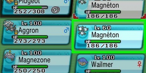 Magneton in evoluzione
