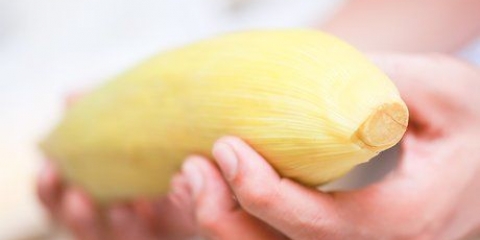 Grigliare la pannocchia di mais