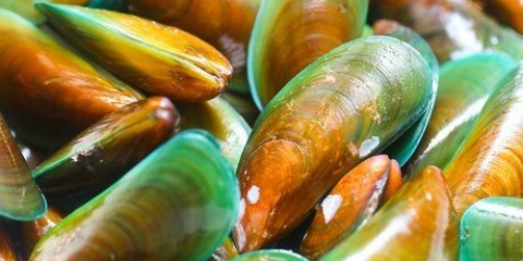 Cucinare le cozze
