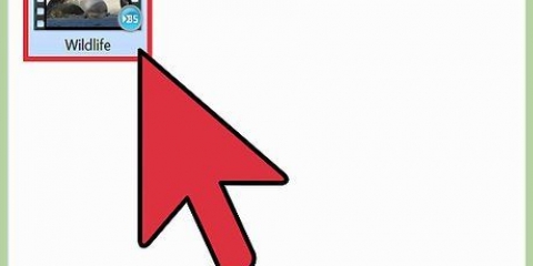 Riproduci file mp4