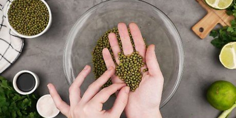 Preparare i fagioli mung