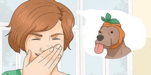 Ridere quando vuoi